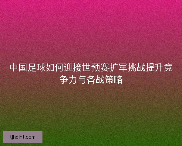 中国足球如何迎接世预赛扩军挑战提升竞争力与备战策略